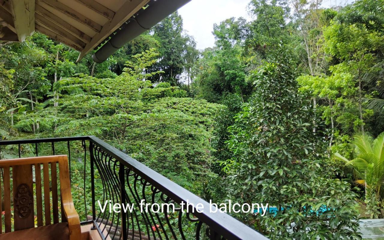 Mi Casa - The Gem Of Ijen Hotel Banyuwangi  Exterior photo