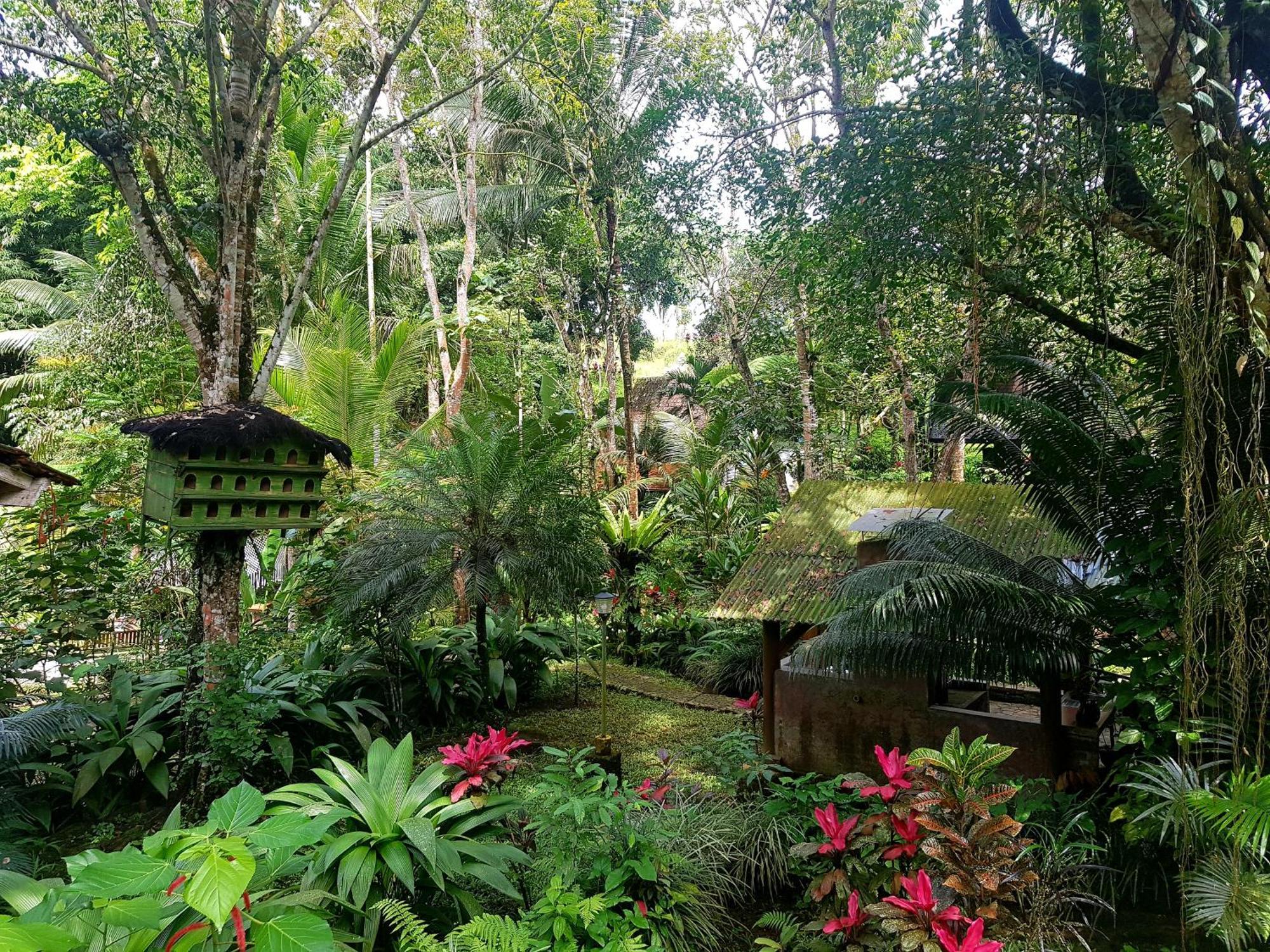 Mi Casa - The Gem Of Ijen Hotel Banyuwangi  Exterior photo