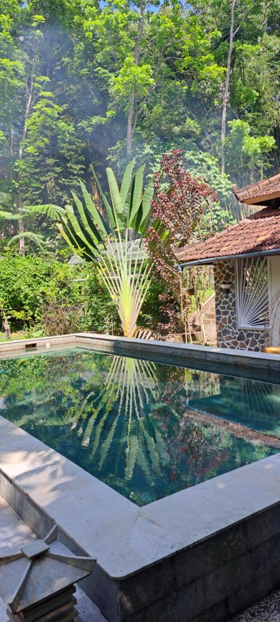 Mi Casa - The Gem Of Ijen Hotel Banyuwangi  Exterior photo