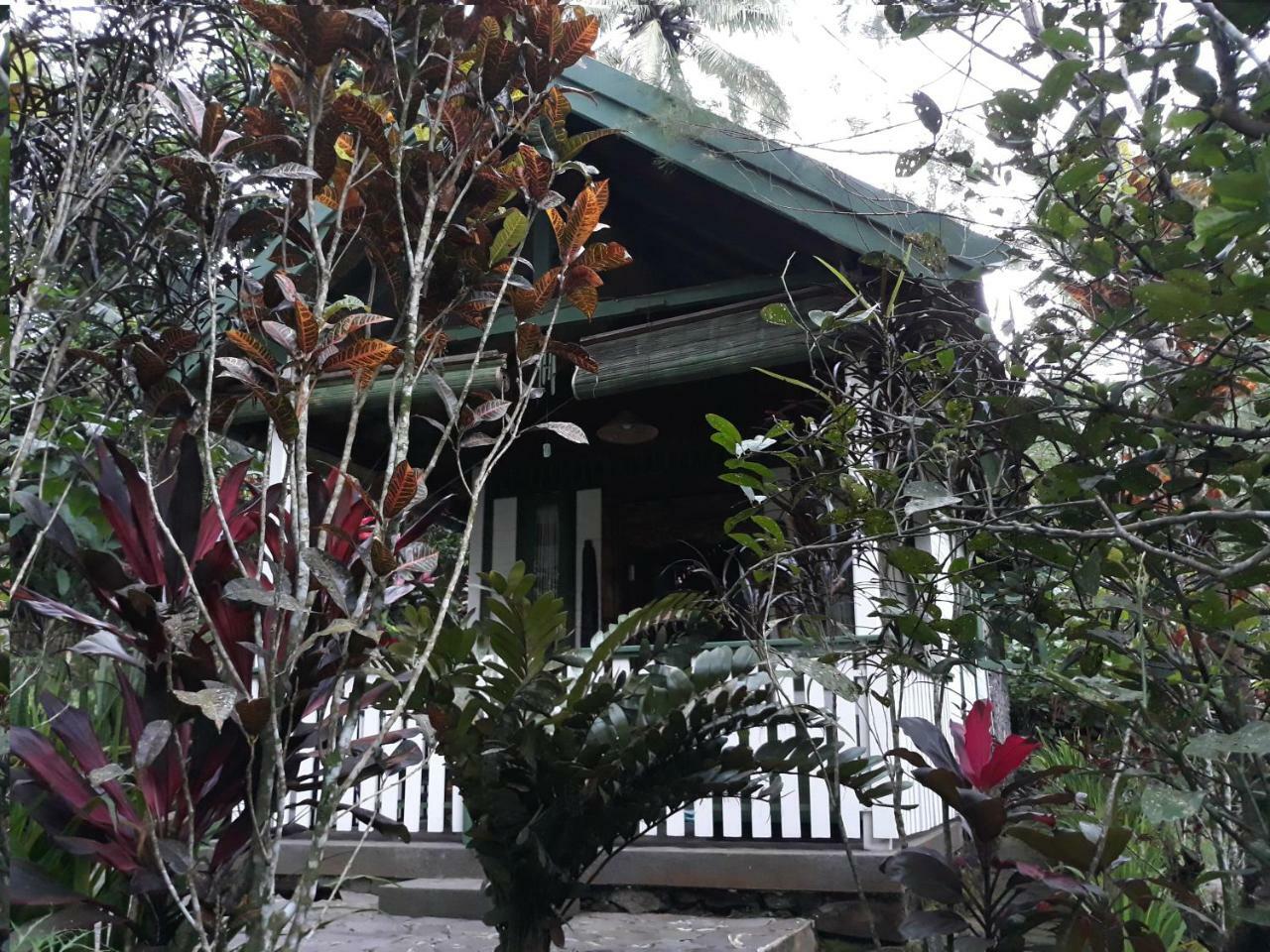 Mi Casa - The Gem Of Ijen Hotel Banyuwangi  Exterior photo